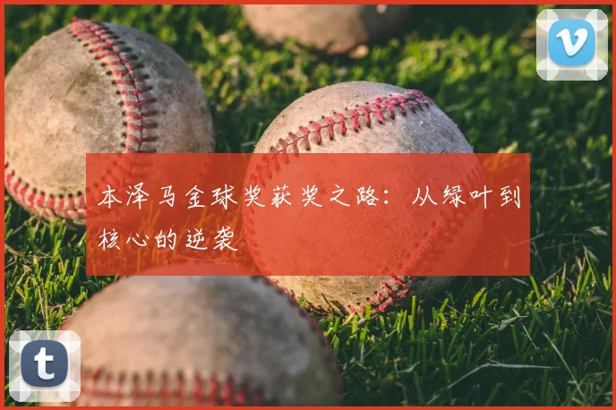 本泽马金球奖获奖之路:从绿叶到核心的逆袭